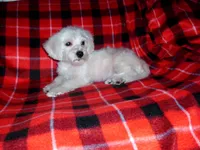 processed/612f0afd-40a0-45fa-b0da-054c49b7b32f/listing/ef2e4f4d-a7c6-4b98-87c4-13b4bb072099/9e829e28-caab-4f16-8a24-9f9d25e85094