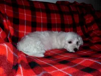 processed/612f0afd-40a0-45fa-b0da-054c49b7b32f/listing/ef2e4f4d-a7c6-4b98-87c4-13b4bb072099/a6b9e299-6a2f-46bd-97b8-8c091746c599