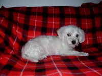 processed/612f0afd-40a0-45fa-b0da-054c49b7b32f/listing/ef2e4f4d-a7c6-4b98-87c4-13b4bb072099/ce0473f4-68b7-4c9c-8df2-28e611ff4a61