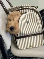 processed/6133d93a-75ca-47d0-bc60-e917fec8b8a7/listing/671d317a-e18f-4e3d-9fe5-f371ac541ba3/0887e817-9512-4b9e-9dcc-c206c2591ba8