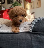 processed/6133d93a-75ca-47d0-bc60-e917fec8b8a7/listing/671d317a-e18f-4e3d-9fe5-f371ac541ba3/15be381e-85e0-4ca8-893d-7768a469efe8