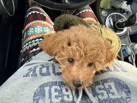 processed/6133d93a-75ca-47d0-bc60-e917fec8b8a7/listing/671d317a-e18f-4e3d-9fe5-f371ac541ba3/73d171fd-7132-4152-b65c-1471de0eac60