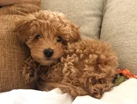 processed/6133d93a-75ca-47d0-bc60-e917fec8b8a7/listing/671d317a-e18f-4e3d-9fe5-f371ac541ba3/7bea8029-fb3a-46cd-96d9-8d3632abfda4