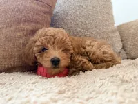 processed/6133d93a-75ca-47d0-bc60-e917fec8b8a7/listing/671d317a-e18f-4e3d-9fe5-f371ac541ba3/7e641650-8e7d-480a-b6c0-4ee05d0e1716