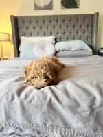 processed/6133d93a-75ca-47d0-bc60-e917fec8b8a7/listing/671d317a-e18f-4e3d-9fe5-f371ac541ba3/c4c3001a-d676-4aac-9697-c7955d4c77d9