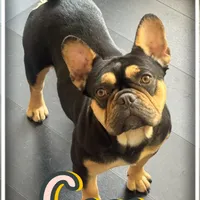 processed/613b06c6-46e6-4f7b-89ec-c72ea6835f5a/facility/1868fce2-a49b-4419-98c4-94163f0b9fd5