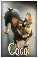 processed/613b06c6-46e6-4f7b-89ec-c72ea6835f5a/facility/1868fce2-a49b-4419-98c4-94163f0b9fd5