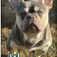 processed/613b06c6-46e6-4f7b-89ec-c72ea6835f5a/facility/9b97f790-79c3-4405-b54b-df5a92568640