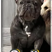 processed/613b06c6-46e6-4f7b-89ec-c72ea6835f5a/facility/de2c8b3e-6bbe-4b6d-8aba-514baf836869