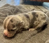 processed/613b06c6-46e6-4f7b-89ec-c72ea6835f5a/listing/1c31284e-e0f5-4f65-a782-eca8cce1c153/84ef697b-21f2-4d0a-97d6-154f54b3f1bf