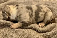 processed/613b06c6-46e6-4f7b-89ec-c72ea6835f5a/listing/1c31284e-e0f5-4f65-a782-eca8cce1c153/ba673a44-0c90-477d-aed4-b699def74ab3