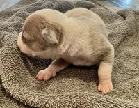 processed/613b06c6-46e6-4f7b-89ec-c72ea6835f5a/listing/73763c93-637a-4f9c-b1f5-b5b2b404b70e/0a215b6e-662a-4ef8-9a50-6249d55e41a2