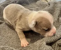 processed/613b06c6-46e6-4f7b-89ec-c72ea6835f5a/listing/73763c93-637a-4f9c-b1f5-b5b2b404b70e/825a964c-faa2-4f89-a361-669871dd3f73