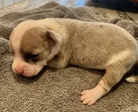 processed/613b06c6-46e6-4f7b-89ec-c72ea6835f5a/listing/73763c93-637a-4f9c-b1f5-b5b2b404b70e/87b13b81-63a7-4026-b023-07518c9f4695