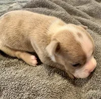 processed/613b06c6-46e6-4f7b-89ec-c72ea6835f5a/listing/fee65609-440d-436b-a8a2-a8cd44d53786/0ac36804-d081-48b0-a123-701bc8d7bd71