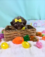 FENDI, a female Shih Tzu for sale in Houston, TX – Photo 3 of 3