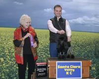 Malone, a male Poodle - Toy  for sale in Los Angeles, CA – Photo 4 of 10