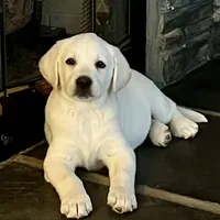 processed/6141c372-681b-4833-8b44-af9e72e747f4/facility/11d4dc99-463c-4d4b-b885-ed0c3daae379