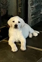 processed/6141c372-681b-4833-8b44-af9e72e747f4/facility/11d4dc99-463c-4d4b-b885-ed0c3daae379