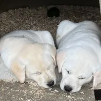 processed/6141c372-681b-4833-8b44-af9e72e747f4/facility/1fd83a3c-36f9-49a3-b4df-d6c8c8a41af5