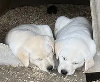 processed/6141c372-681b-4833-8b44-af9e72e747f4/facility/1fd83a3c-36f9-49a3-b4df-d6c8c8a41af5