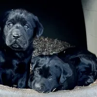 processed/6141c372-681b-4833-8b44-af9e72e747f4/facility/2344b5bd-0367-4027-bc05-77d89ffeea67