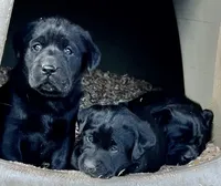 processed/6141c372-681b-4833-8b44-af9e72e747f4/facility/2344b5bd-0367-4027-bc05-77d89ffeea67