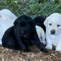 processed/6141c372-681b-4833-8b44-af9e72e747f4/facility/5cc7dd3d-6a5d-478f-95e9-6d239a60a34d