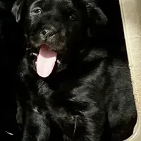 processed/6141c372-681b-4833-8b44-af9e72e747f4/facility/6e160854-ebd6-4ed8-890d-f35651ac1b35