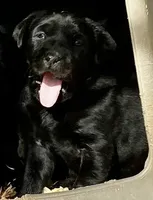 processed/6141c372-681b-4833-8b44-af9e72e747f4/facility/6e160854-ebd6-4ed8-890d-f35651ac1b35