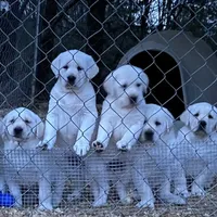 processed/6141c372-681b-4833-8b44-af9e72e747f4/facility/dc14508c-4717-4cdc-8cf0-ce85cd8aa942