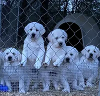 processed/6141c372-681b-4833-8b44-af9e72e747f4/facility/dc14508c-4717-4cdc-8cf0-ce85cd8aa942