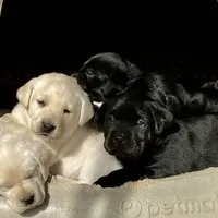 processed/6141c372-681b-4833-8b44-af9e72e747f4/facility/eabe7255-e502-4c17-8481-011140878ccf