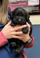 processed/6141c372-681b-4833-8b44-af9e72e747f4/facility/ff8d4572-fce8-49f9-be80-dfc78e571886