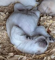 processed/6141c372-681b-4833-8b44-af9e72e747f4/listing/0ef67e74-d8af-4fc1-a0d6-85d4bbcc71f9/29de89fe-a81e-40f6-a222-b66b5dfdb58b