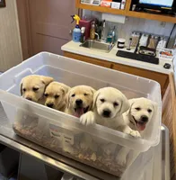 processed/6141c372-681b-4833-8b44-af9e72e747f4/listing/2ade1993-ad73-4976-aeb2-e4c04fcc72f2/8fb3b7e2-a775-4a08-9798-dcd4a4baf034