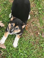 processed/614cd843-c74a-4709-addd-834de4b9ecce/listing/09be9393-2e6b-44cb-a17c-d57fddce94f0/1f2bcb91-3344-49ae-a8f2-678336c077e6