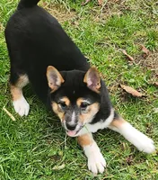 processed/614cd843-c74a-4709-addd-834de4b9ecce/listing/09be9393-2e6b-44cb-a17c-d57fddce94f0/4dc908d4-635a-4d01-bd42-dc6dbfefda8b