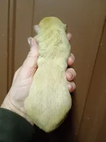 processed/614cd843-c74a-4709-addd-834de4b9ecce/listing/138da60e-fa77-4efd-8feb-f02b8a1b01de/12a016b4-dee8-4d91-b6a3-6771cad7622a