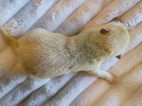 processed/614cd843-c74a-4709-addd-834de4b9ecce/listing/138da60e-fa77-4efd-8feb-f02b8a1b01de/1c87d57f-0918-441b-8231-93d873748ca8