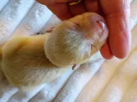 processed/614cd843-c74a-4709-addd-834de4b9ecce/listing/138da60e-fa77-4efd-8feb-f02b8a1b01de/21348482-945f-4a21-84c5-ee2776ed085d