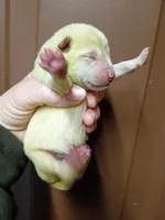 processed/614cd843-c74a-4709-addd-834de4b9ecce/listing/138da60e-fa77-4efd-8feb-f02b8a1b01de/259e5a65-9a50-4eb7-a8fc-996751e913c4