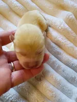 processed/614cd843-c74a-4709-addd-834de4b9ecce/listing/138da60e-fa77-4efd-8feb-f02b8a1b01de/3edbe35e-52e1-4a53-b78e-ef1891b4d988