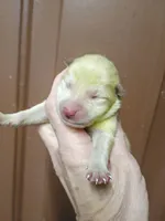 processed/614cd843-c74a-4709-addd-834de4b9ecce/listing/138da60e-fa77-4efd-8feb-f02b8a1b01de/b0a9ea10-de6a-4242-a320-2bf34f5cf783