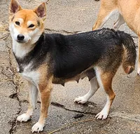 processed/614cd843-c74a-4709-addd-834de4b9ecce/listing/24689534-c205-4000-88eb-1c96f28168b8/86ebad7b-893d-48e9-88a2-d4ca0865a8ae