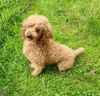 processed/614cd843-c74a-4709-addd-834de4b9ecce/listing/2600ff94-c2ed-4128-9957-63dd8a11701f/a1d54f5f-3749-42b0-af89-1d938065d191