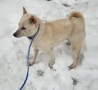 processed/614cd843-c74a-4709-addd-834de4b9ecce/listing/2aa4a18c-42fc-4fb3-a7c7-9df91d8b19b1/36f1baf3-dcc5-4989-9e23-eccb4213b432