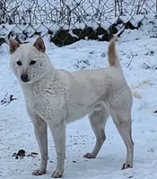 processed/614cd843-c74a-4709-addd-834de4b9ecce/listing/2aa4a18c-42fc-4fb3-a7c7-9df91d8b19b1/61f88198-b3be-4761-bbf1-b1ca849621bd