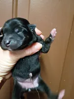 processed/614cd843-c74a-4709-addd-834de4b9ecce/listing/53c17ffa-4cbe-4582-a53d-7e67433af61e/2225c8b7-6d24-49b2-a6cc-b85ec2c8121c