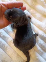 processed/614cd843-c74a-4709-addd-834de4b9ecce/listing/53c17ffa-4cbe-4582-a53d-7e67433af61e/73bf8e75-e9ef-441a-be6e-ca4c166a5b1b